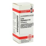 Carbo Vegetabilis D 10 Globuli (10 g)