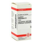 Causticum Hahnemanni D 4 Tabletten (80 stk)