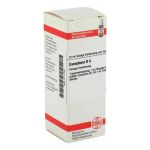 Camphora D 4 Dilution (20 ml)