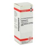 Capsicum D 6 Dilution (20 ml)