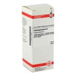 Cardiospermum D 2 Dilution (50 ml)