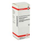 Carduus Marianus D 4 Dilution (50 ml)