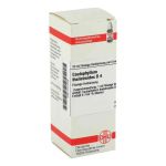 Caulophyllum Thalictroides D 4 Dilution (20 ml)