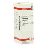 Ceanothus Americanus Urtinktur (20 ml)