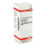 Calendula D 6 Dilution (20 ml)
