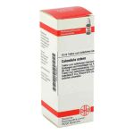Calendula Extern (20 ml)