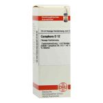 Camphora D 12 Dilution (20 ml)