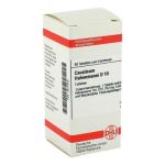Causticum Hahnemanni D 10 Tabletten (80 stk)
