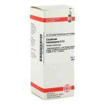 Causticum Hahnemanni D 12 Dilution (50 ml)