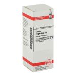Carbo Vegetabilis D 6 Dilution (20 ml)