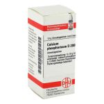 Calcium Phosphoricum D 200 Globuli (10 g)