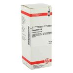 Camphora D 6 Dilution (50 ml)