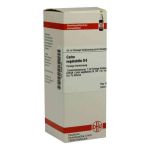 Carbo Vegetabilis D 6 Dilution (50 ml)