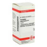 Ceanothus Americanus D 4 Tabletten (80 stk)