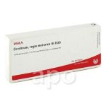 Cerebrum Regio Motor Gl D 30 Ampullen (10X1 ml)
