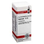 Capsicum D 12 Globuli (10 g)