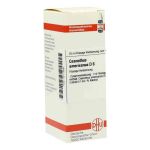 Ceanothus Americanus D 6 Dilution (20 ml)