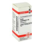 Carbo Vegetabilis C 10 Globuli (10 g)