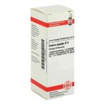 Carica Papaya D 3 Dilution (20 ml)