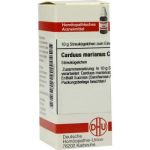 Carduus Marianus C 200 Globuli (10 g)