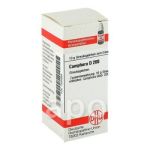 Camphora D 200 Globuli (10 g)