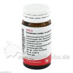 CEREBRUM COMP A C AUR COMP, 20 G