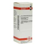 Cimicifuga D 4 Dilution (20 ml)