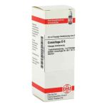 Cimicifuga D 6 Dilution (20 ml)