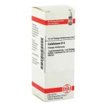 Colchicum D 4 Dilution (20 ml)