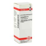 Colocynthis D 4 Dilution (20 ml)