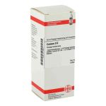 Conium D 6 Dilution (50 ml)