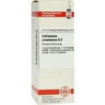 Collinsonia Canadensis D 2 Dilution (20 ml)