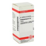 Cholesterinum D 10 Tabletten (80 stk)