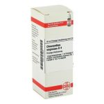 Chionanthus Virginicus D 4 Dilution (20 ml)