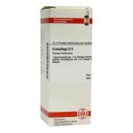 Cimicifuga D 3 Dilution (50 ml)