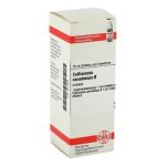 Collinsonia Canadensis Urtinktur (20 ml)