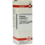 Collinsonia Canadensis D 4 Dilution (20 ml)