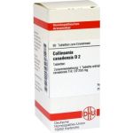 Collinsonia Canadensis D 2 Tabletten (80 stk)