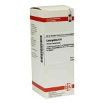 Colocynthis D 6 Dilution (50 ml)