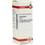Cichorium Urtinktur (20 ml)