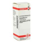 Colocynthis D 12 Dilution (20 ml)