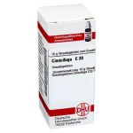 Cimicifuga C 30 Globuli (10 g)