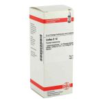 Coffea D 12 Dilution (50 ml)