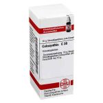 Colocynthis C 30 Globuli (10 g)