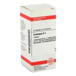 Crataegus D 1 Tabletten (80 stk)