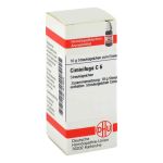 Cimicifuga C 6 Globuli (10 g)