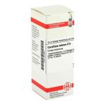 Corallium Rubrum D 6 Dilution (20 ml)