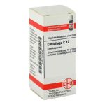 Cimicifuga C 12 Globuli (10 g)