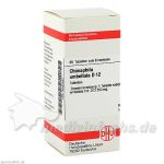 CHIMAPHILA UMBEL D12, 80 ST