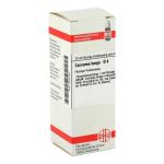 Curcuma Longa D 4 Dilution (20 ml)